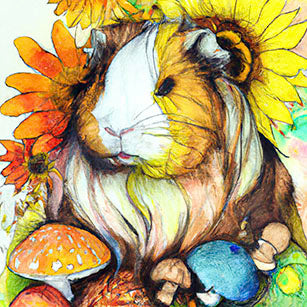 Sunflower Collection