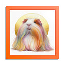  Orange Frame