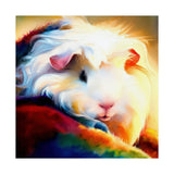 Firelight Fleece Cavy Guinea Pig Poster