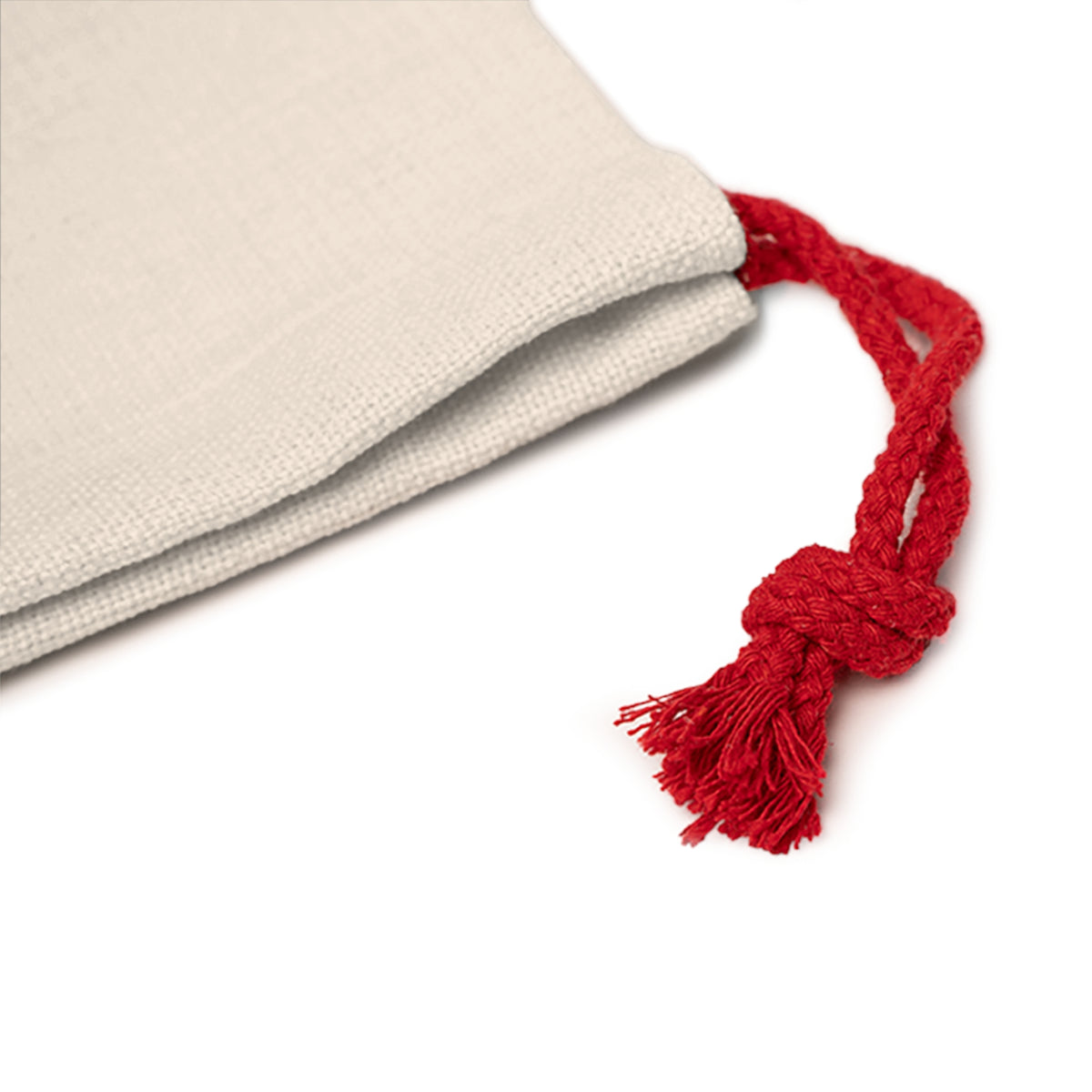 Holiday Guinea Pig Gift Bag — Cute Christmas Pet Stocking Sack